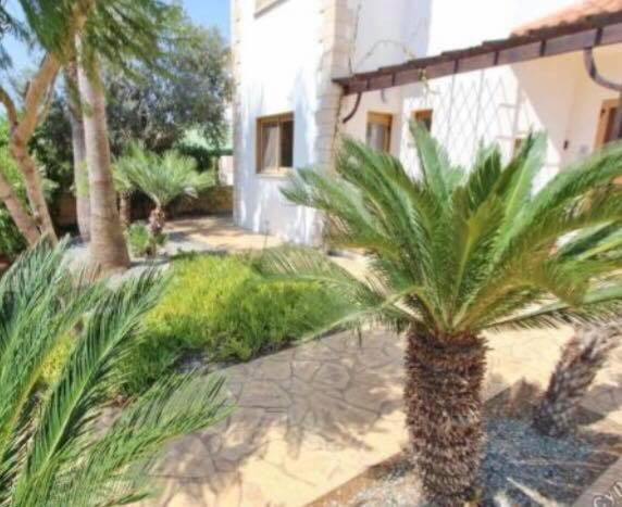 איה נאפה Sunrise Villa מראה חיצוני תמונה